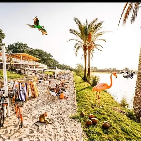 Night Host Trzebnicka 56 Free Parking