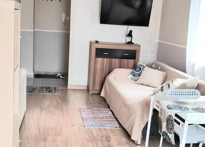 Апартаменты Night Host Trzebnicka 56 Free Parking